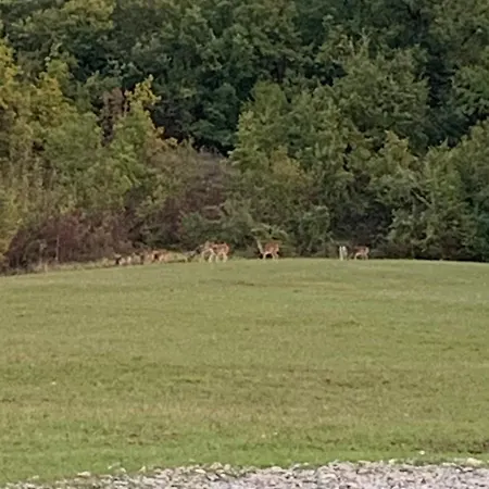 Ca Di Matt Gospodarstwo agroturystyczne Mongiardino Ligure